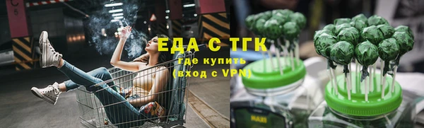 индика Бородино