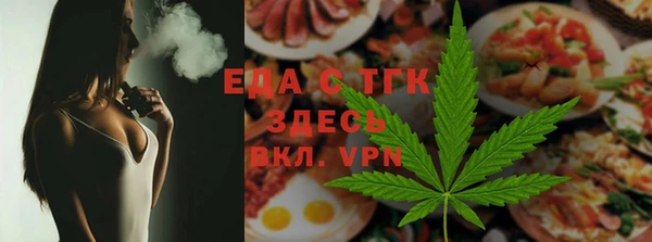 индика Бородино