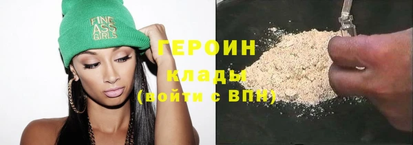 индика Бородино