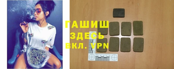 индика Бородино