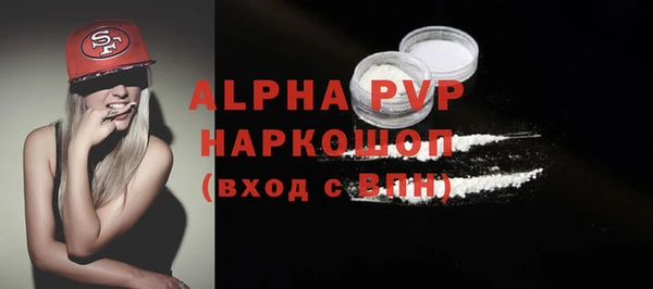 индика Бородино