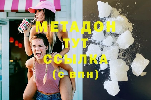 индика Бородино