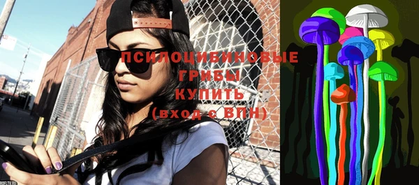 индика Бородино