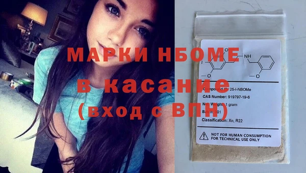 индика Бородино