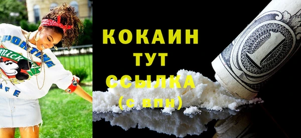 индика Бородино