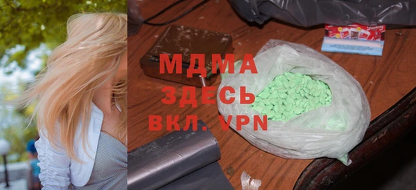 индика Бородино