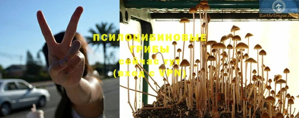 бутират Бронницы