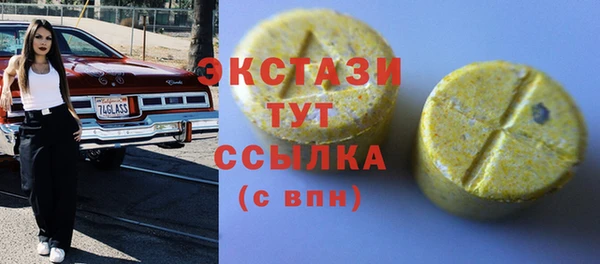 индика Бородино