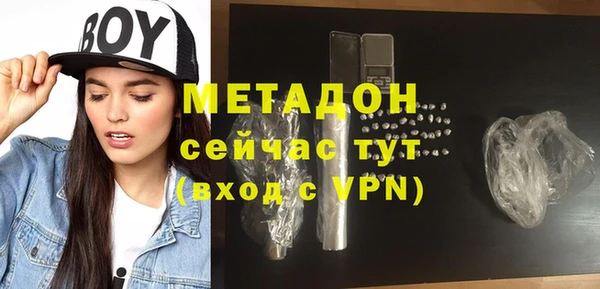 индика Бородино