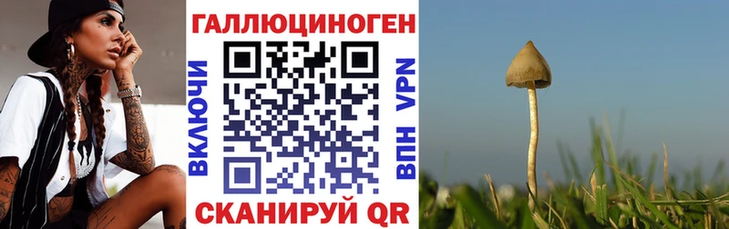 Псилоцибиновые грибы Psilocybine cubensis  MEGA зеркало  Карабаш 